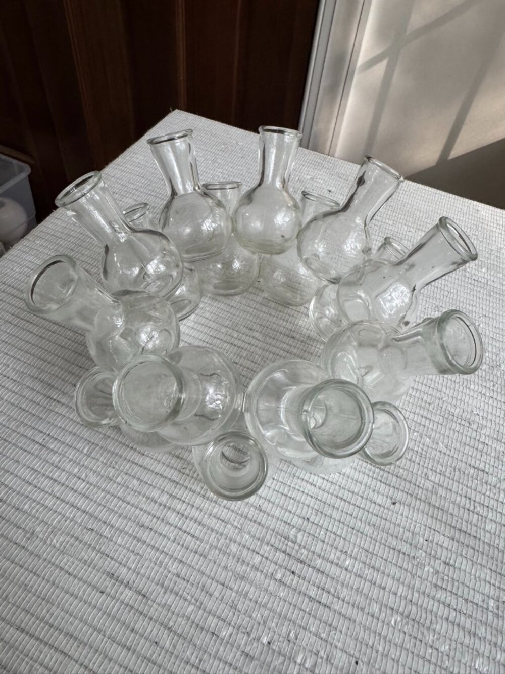 Vintage Clear Glass Cluster Bud Vase | Propagation Ring